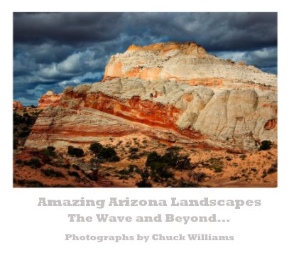 Amazing Arizona Landscapes book cover