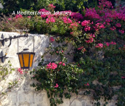 A Mediterranean Journey book cover