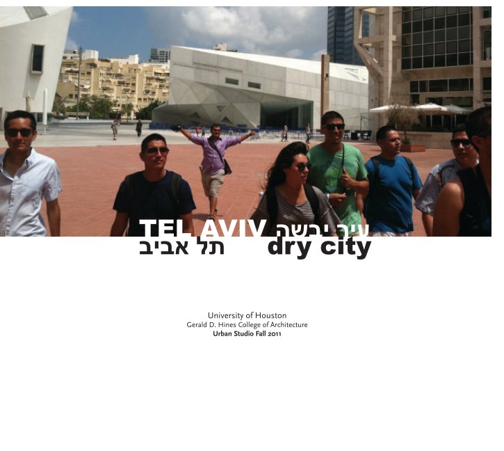 Visualizza Tel Aviv- Dry City di William Truitt