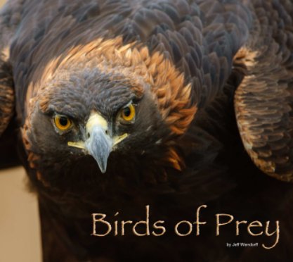 Birds of Prey book cover