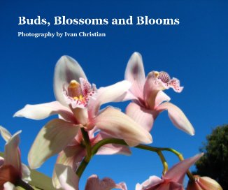 Buds, Blossoms and Blooms book cover