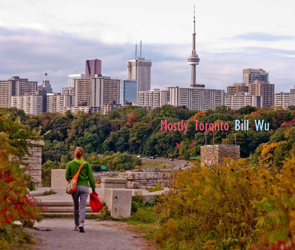 View Mostly Toronto by Bill Wu
