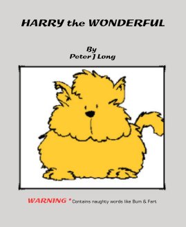 HARRY the WONDERFUL book cover