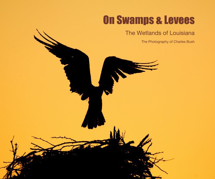 View On Swamps & Levees by The Photography of Charles Bush