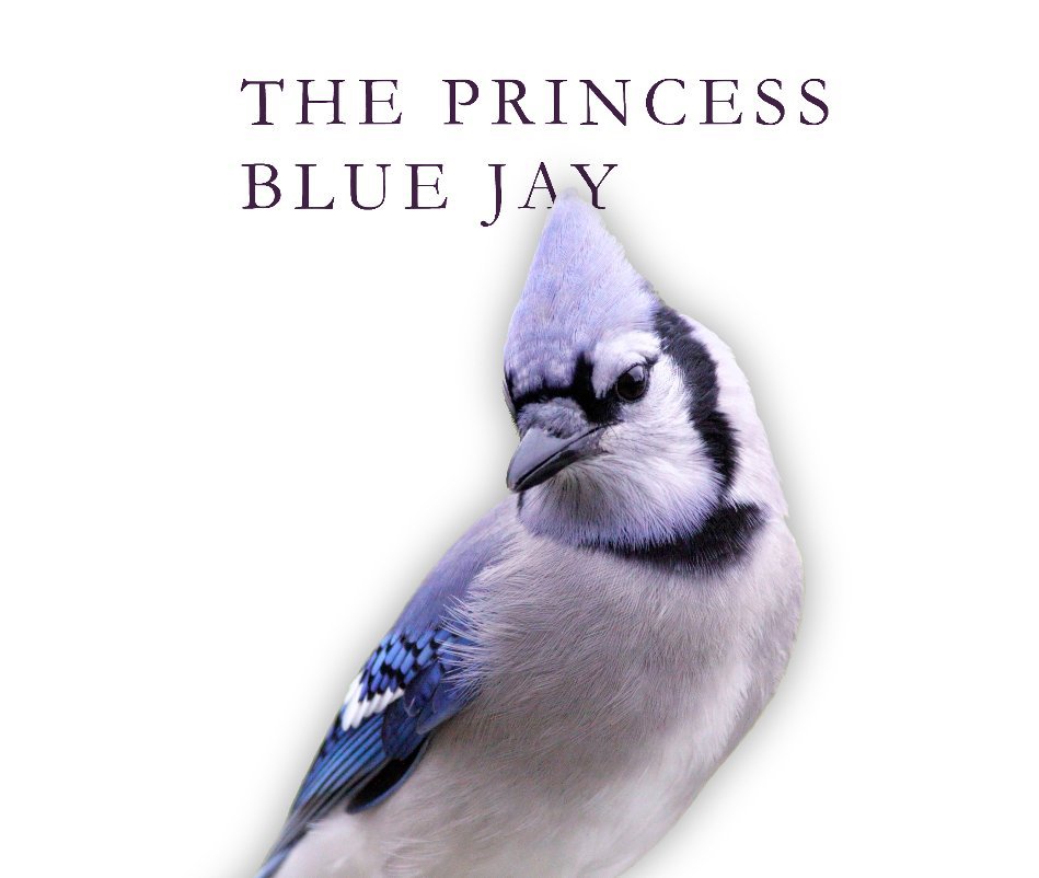 View The Princess Blue Jay by Anthony Tanoury
