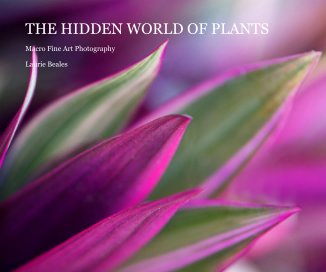 THE HIDDEN WORLD OF PLANTS book cover