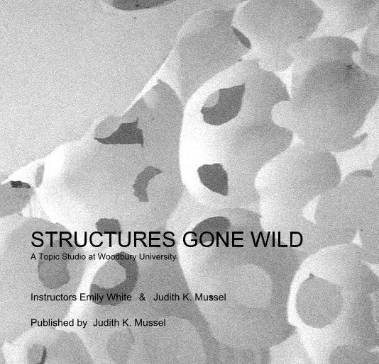View STRUCTURES GONE WILD A Topic Studio at Woodbury University by Judith K. Mussel