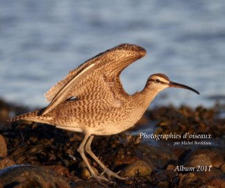 Photographies d'oiseaux book cover