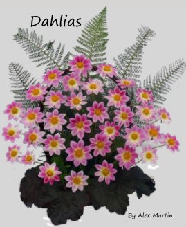 Dahlias book cover