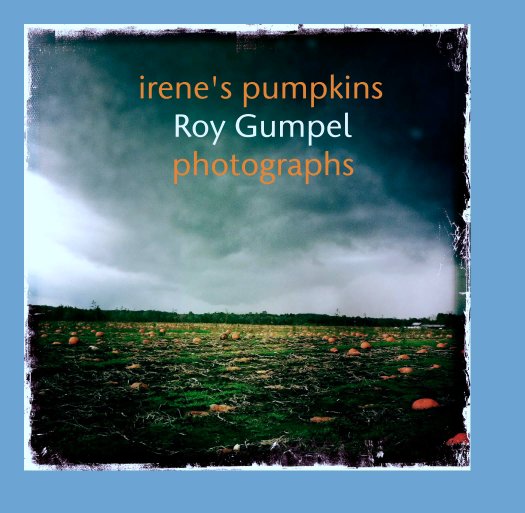 View irene's pumpkins
                 Roy Gumpel
                photographs by roygumpel