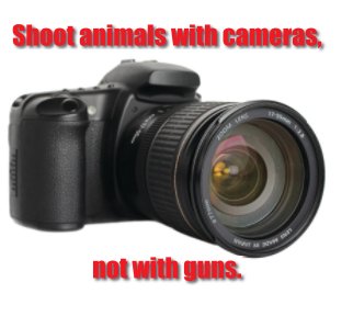 shooting animals with a camera book cover