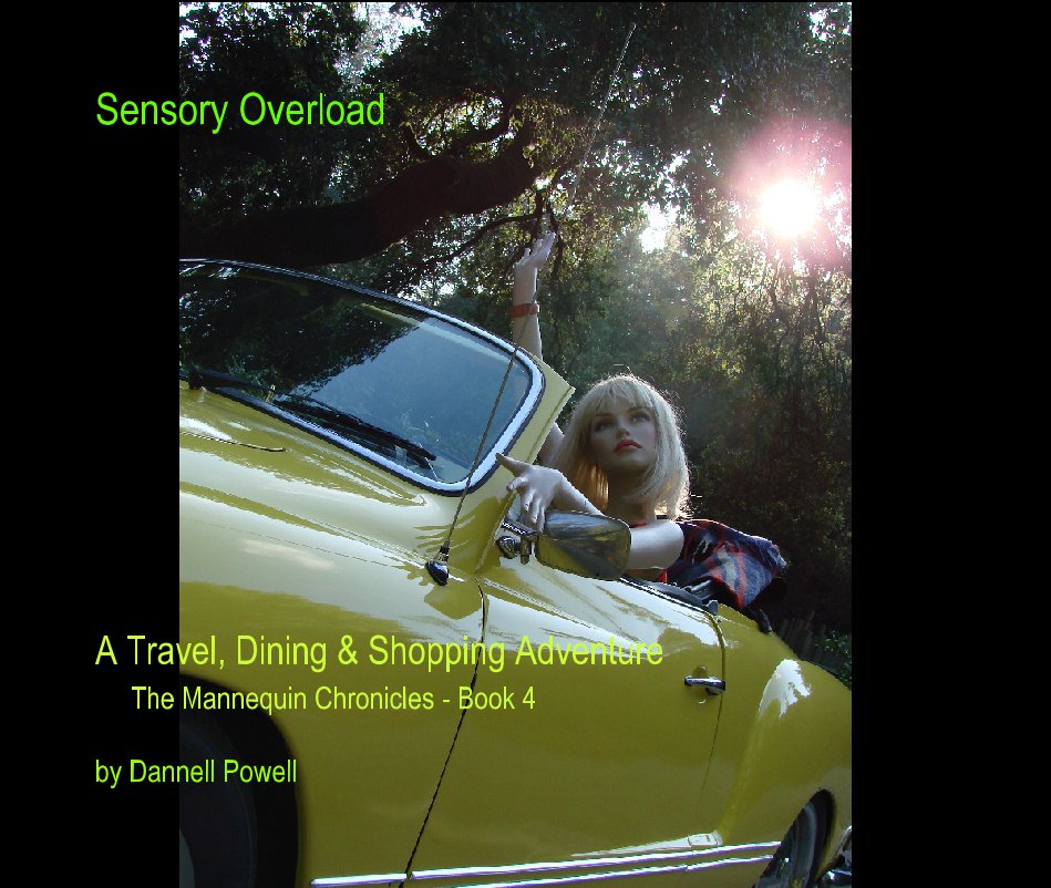 View Sensory Overload by Dannell Powell