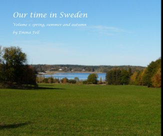 Our time in Sweden book cover