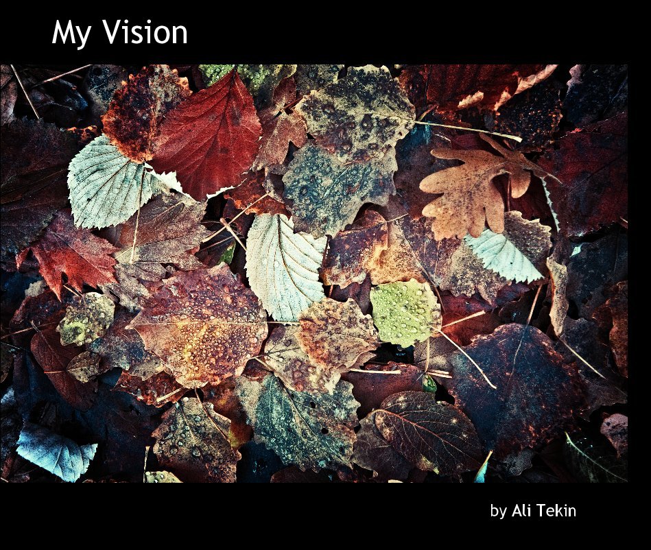 View My Vision by Ali Tekin