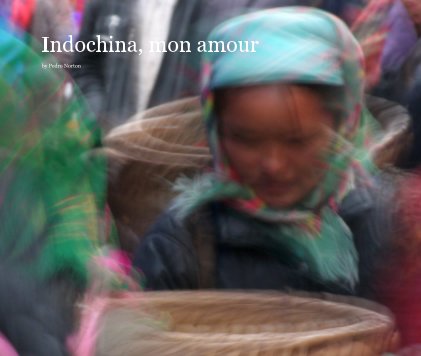 Indochina, mon amour book cover