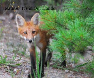 Nature: It's in Our Hands book cover