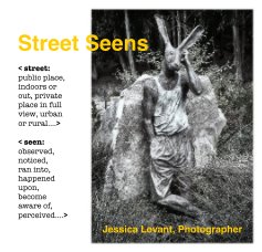 Street Seens book cover