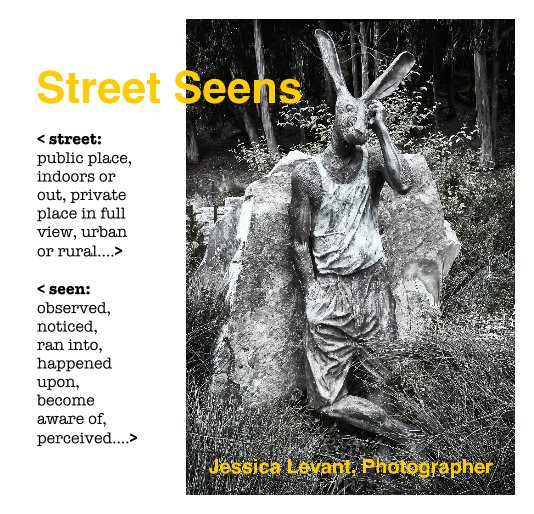 View Street Seens by Jessica Levant, Photographer