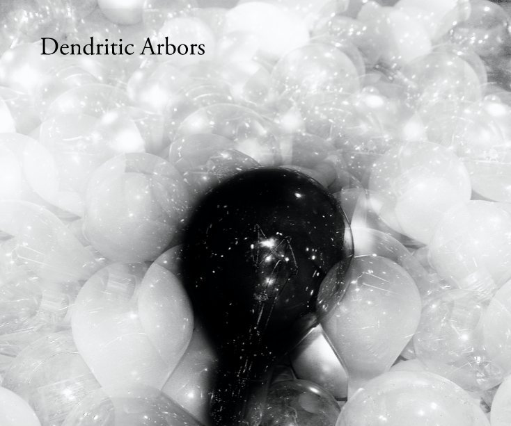 Ver Dendritic Arbors por alancpalmer
