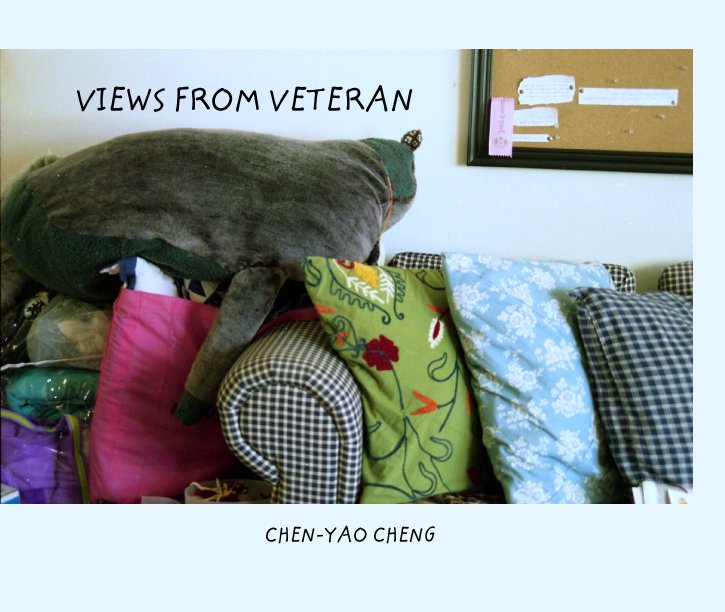 View VIEWS FROM VETERAN by CHEN-YAO CHENG