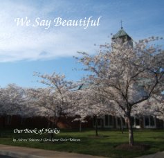 We Say Beautiful book cover