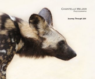 Chantelle Melzer Photography book cover