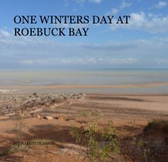 ONE WINTERS DAY AT ROEBUCK BAY book cover