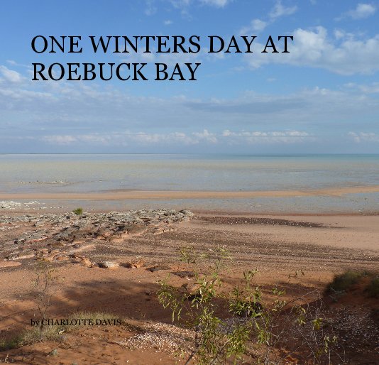 View ONE WINTERS DAY AT ROEBUCK BAY by CHARLOTTE DAVIS