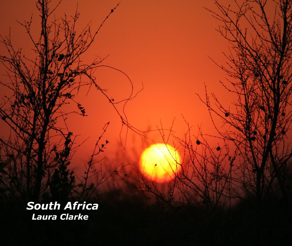 View South Africa by Laura Clarke