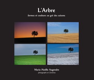L'Arbre : formes et couleurs au gré des saisons book cover