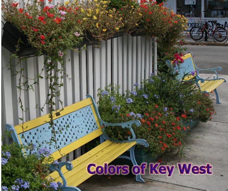 Ver Colors of key West (10x8) por Stephen Walker