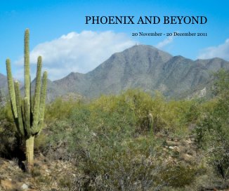 PHOENIX AND BEYOND book cover