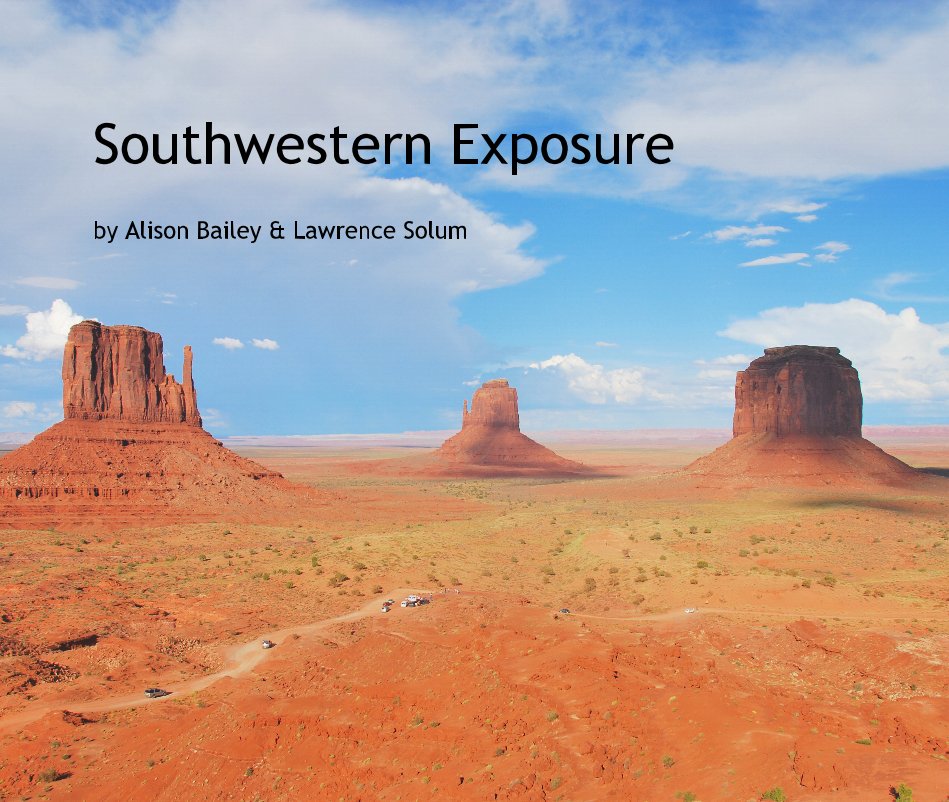View Southwestern Exposure by Alison Bailey & Lawrence Solum