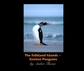 The Falkland Islands ~
 Gentoo Penguins book cover