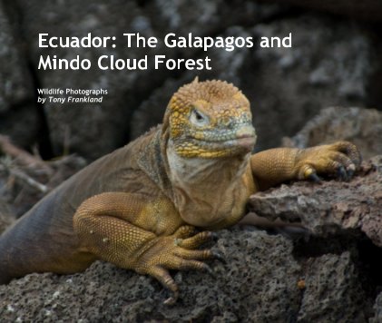 The Galapagos & Mindo Cloud Forest (Wildlife Edition) book cover