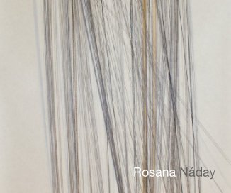 Rosana Náday book cover