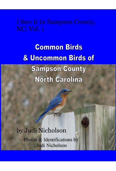 View I Saw It In Sampson County, NC: Vol. 1 by Judi Nicholson