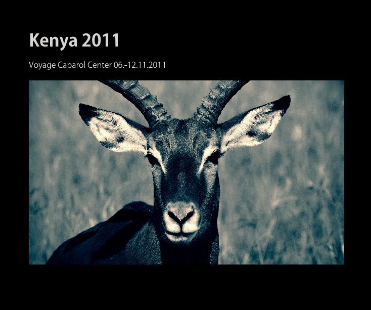 Visualizza Kenya 2011 di ftomas