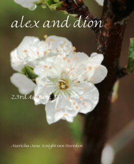 alex and dion book cover