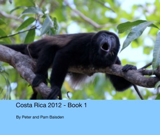 Costa Rica 2012 - Book 1 book cover