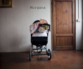 Morgana book cover