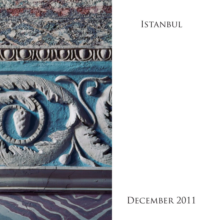 View Istanbul by Elizabeth Leitzell