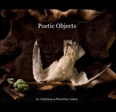 Poetic Objects book cover