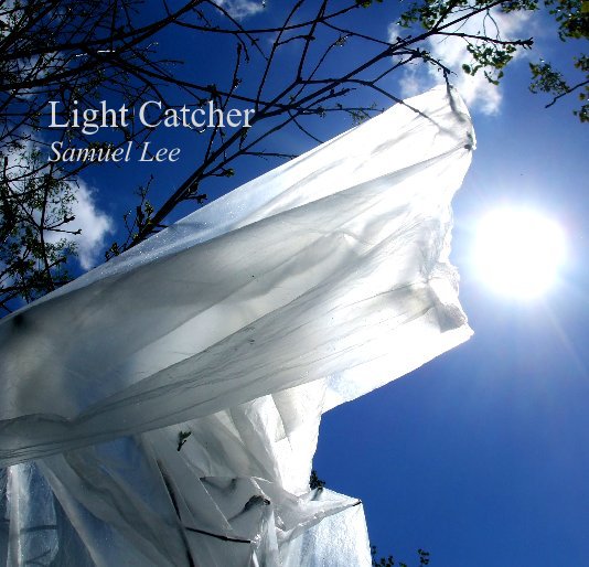 View Light Catcher (small version 5) by Samuel Lee