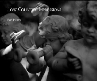 Low Country Impressions book cover