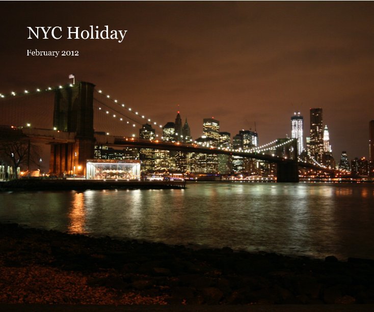 Ver NYC Holiday por February 2012