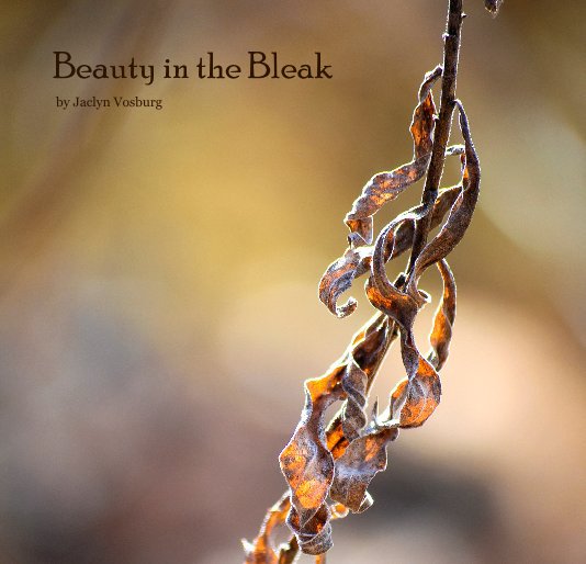 View Beauty in the Bleak by Jaclyn Vosburg