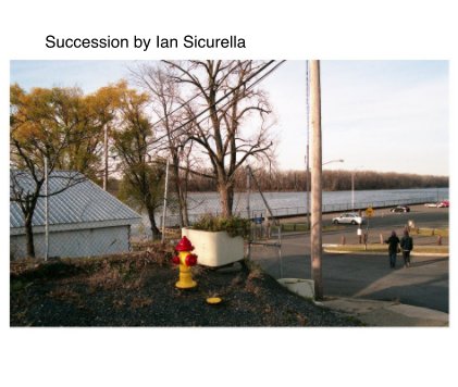 Succession by Ian Sicurella book cover