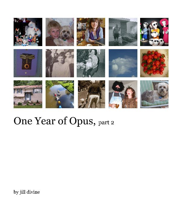 Visualizza One Year of Opus, part 2 di jill divine