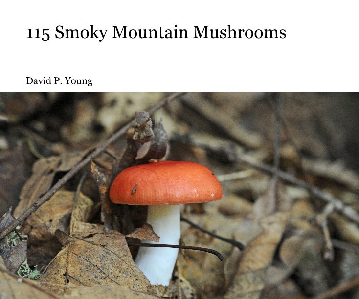 View 115 Smoky Mountain Mushrooms by David P. Young